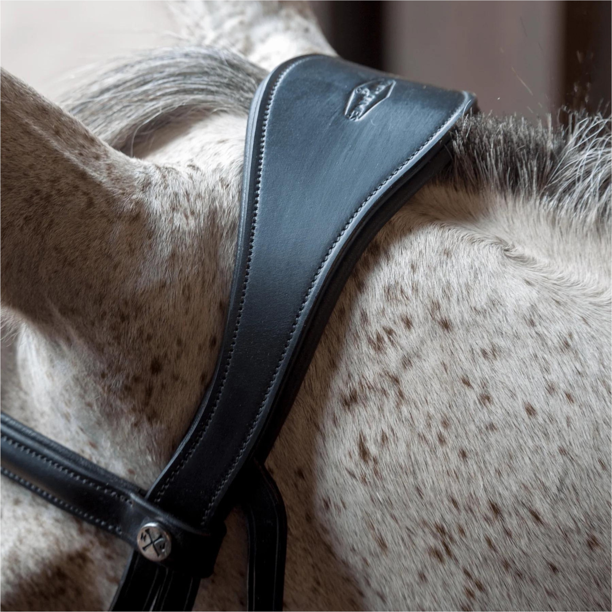 Henry James Grackle Bridle HJ-BR-04 - BLACK